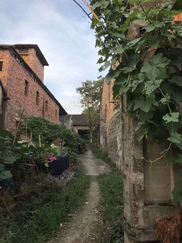 黄阳堡，那斑驳的旧墙，破败的老屋，似乎在坚守那千年不变的传承