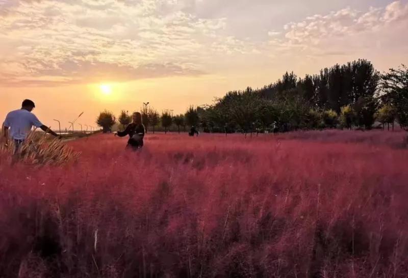 万达落户杨凌原因,杨凌万达属于什么