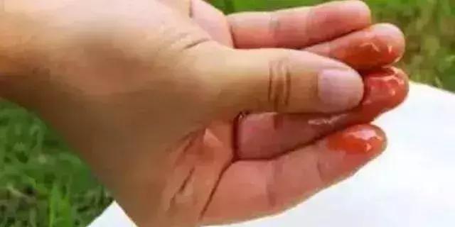 “假机油”7大危害老司机10招教你辨别机油真假？