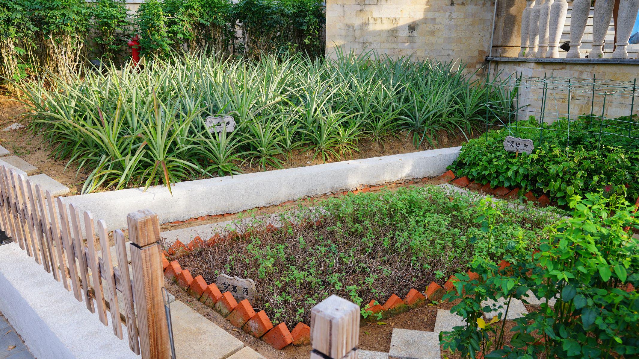 三亚海棠湾jw万豪酒店攻略,三亚市海棠依旧