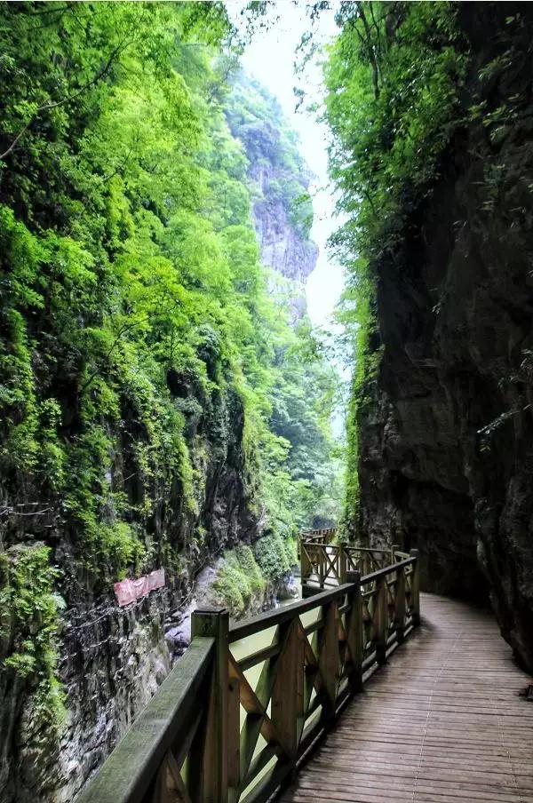 飞拉达攀岩溜索丛林溯溪地心探洞,清远飞拉达丛林探险