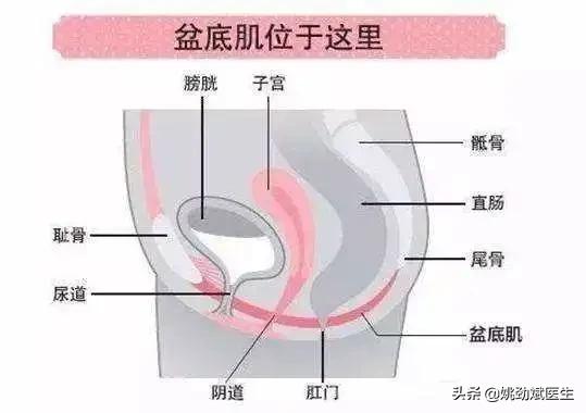 出现大便*禁失**?可以通过以下运动改善