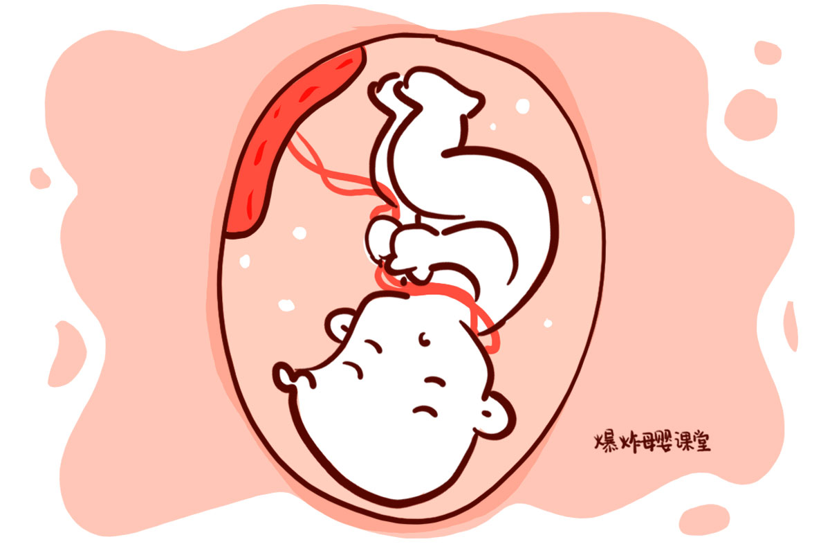 做胎梦准真的会预示怀孕了吗,孕妇的胎梦是不是比较准