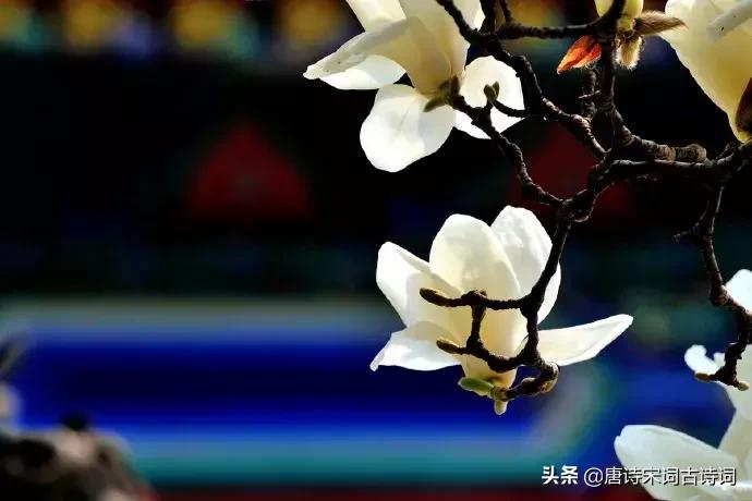 人生十首孤独绝美的诗词,闲适诗词50首