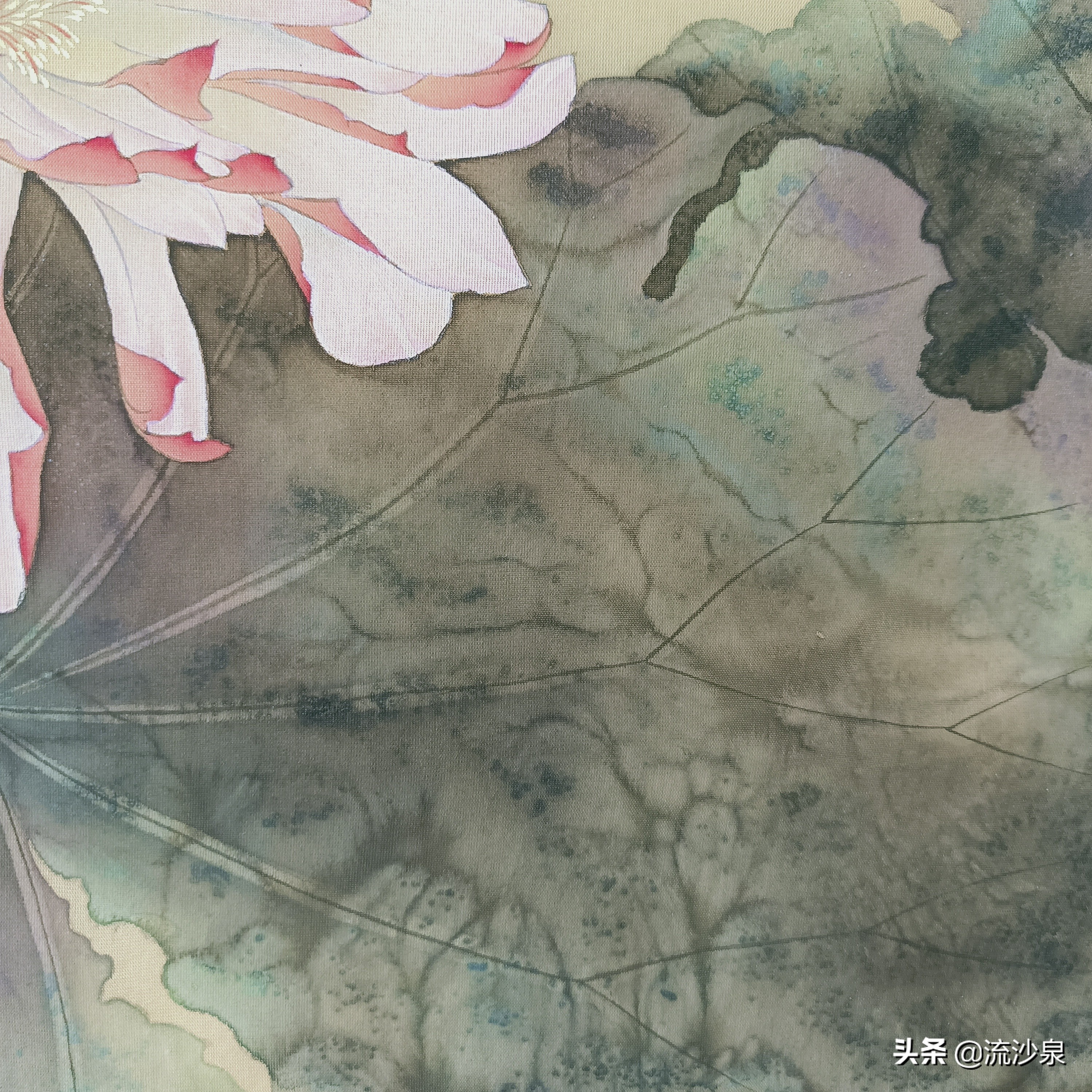 工笔画撒盐法的作品,工笔画上色如何撒盐