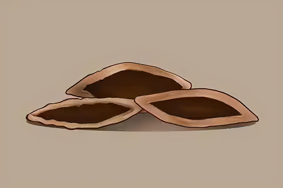 长期的嚼槟榔会发生什么,嚼槟榔的发病率是没嚼槟榔的几倍