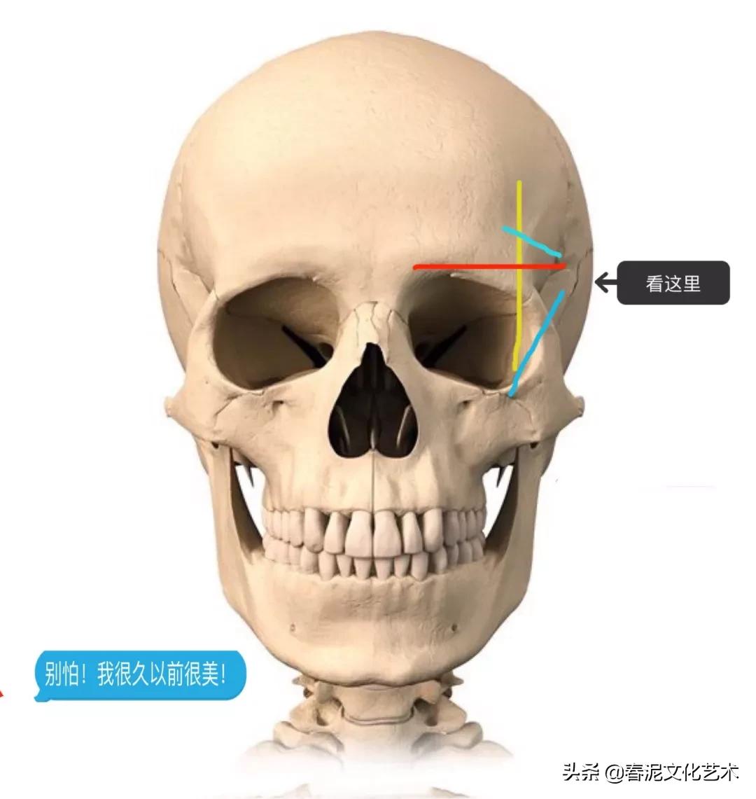 纹绣初学者的眉形设计,新手快速学设计眉形