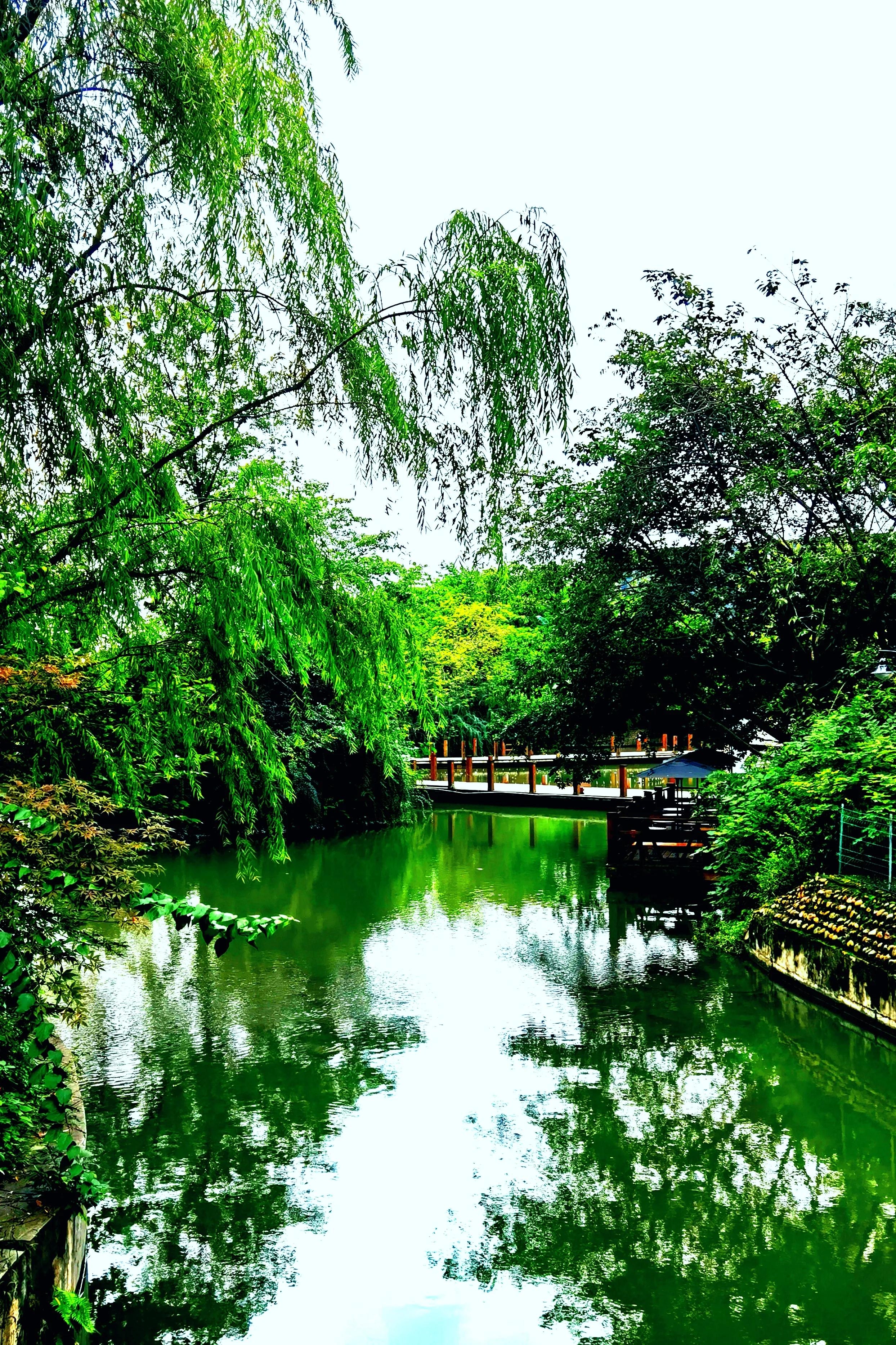 世纪城天鹅湖花园,世纪城天鹅湖别墅公寓