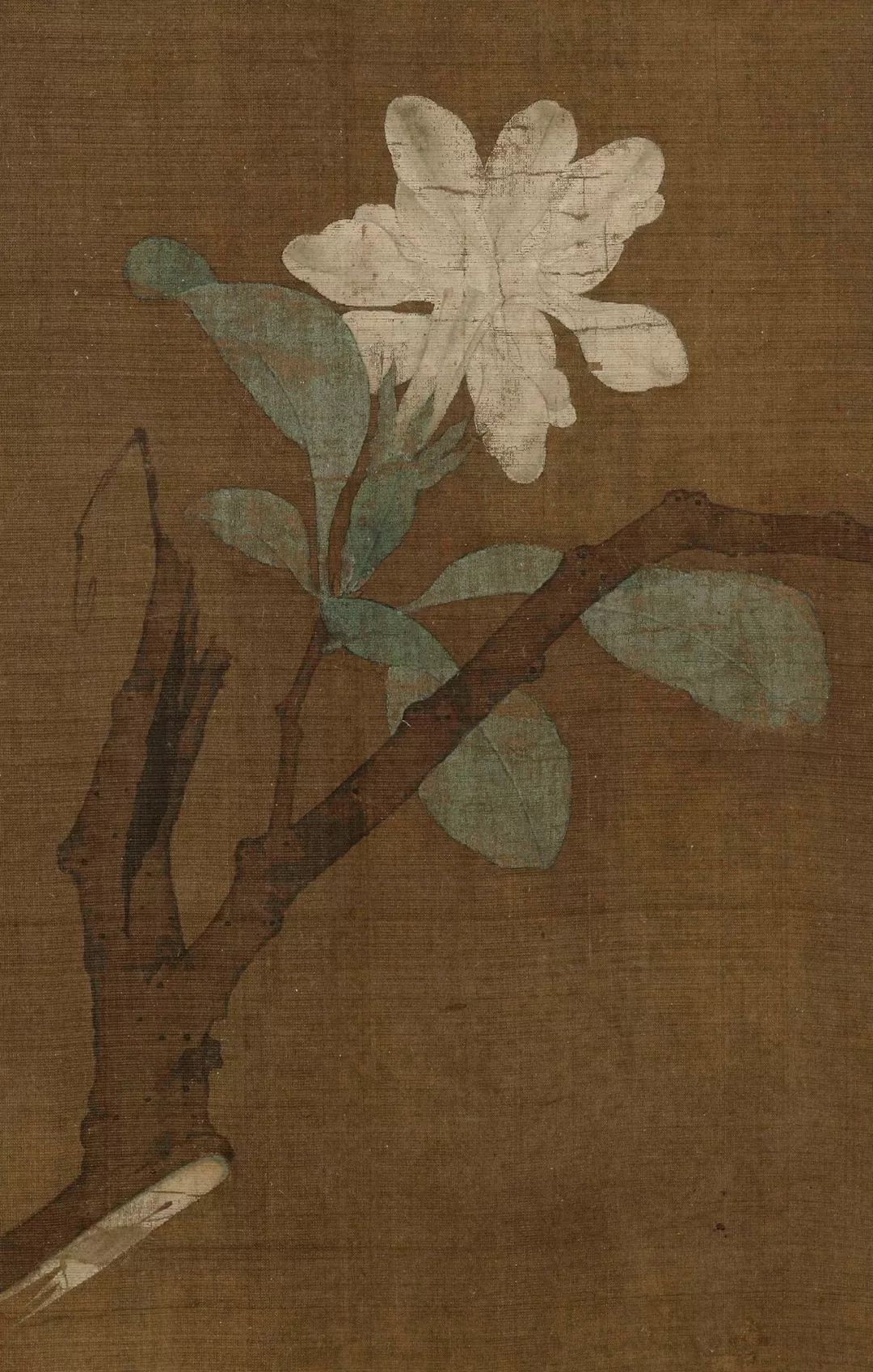 学画画最基础的从哪里学起,60岁学画画入门