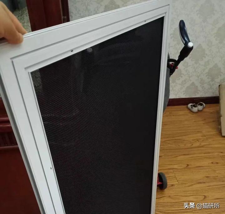 高层养猫到底要不要封窗,封窗养猫