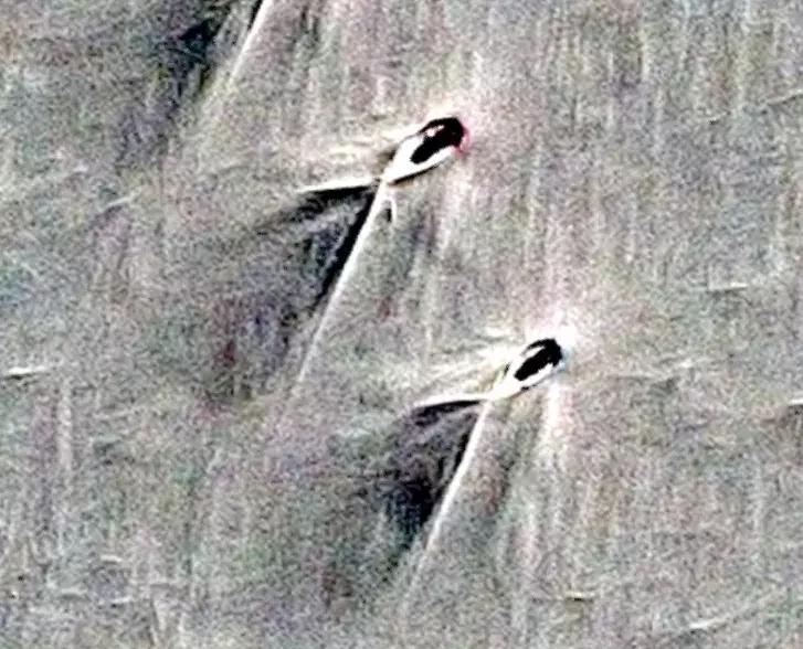 人类在南极发现不明物体,谷歌地图在南极拍到的诡异图片