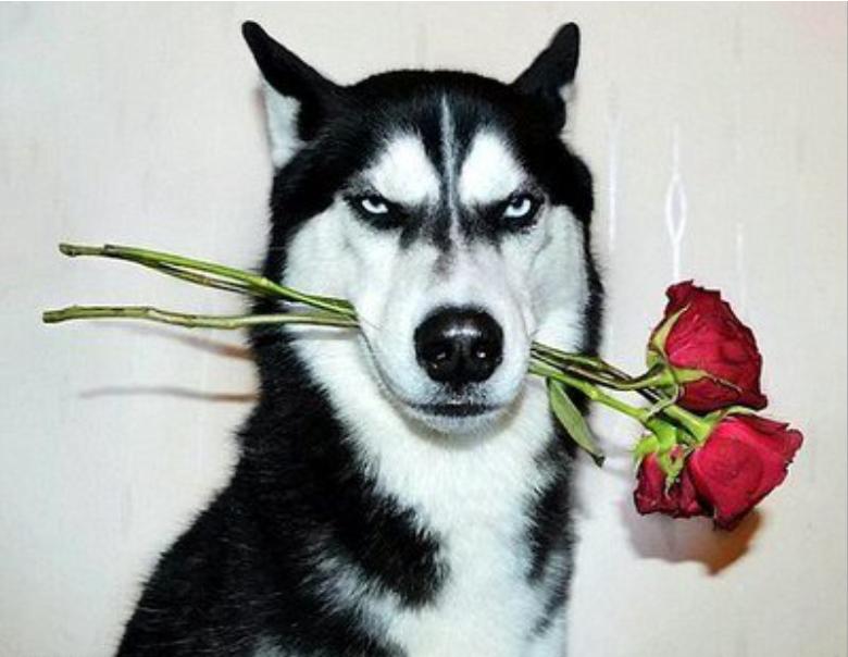 对于婚姻中女人的忠告,恋爱中女方出轨怎么解决