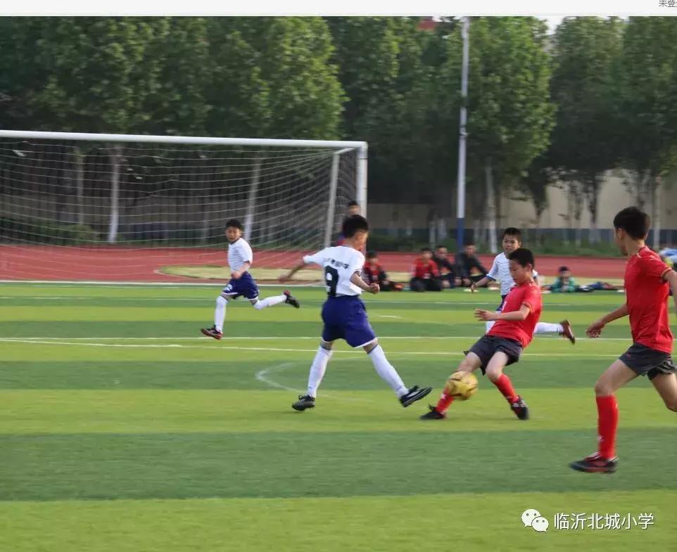 临沂金雀山小学足球队,临沂16中足球夺冠视频