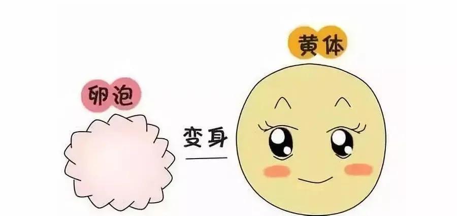 试管移植后塞雪诺酮是保胎吗,试管移植后hcg低怎么保胎