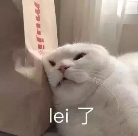 澳洲奶粉888一箱,澳洲奶粉正品不