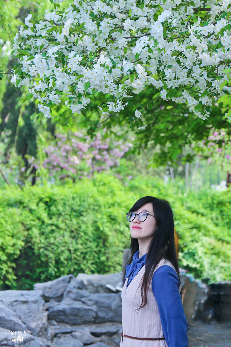 济南适合去的花海公园,济南春季公园有哪些景点