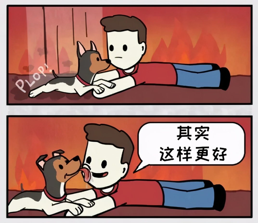 猫和铲屎官漫画全集,铲屎官和狗子的漫画