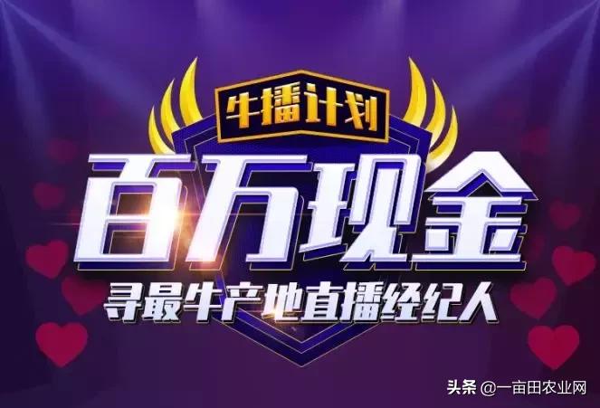 直播卖货话术技巧和方法视频教程,直播卖货技巧和话术教程视频