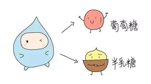 喝牛奶拉肚子能喝奶粉吗,孕期喝牛奶拉肚子怎么办