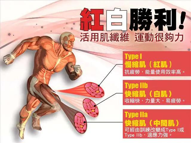 健身十年问啥都懂,健身你懂啥