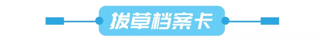 这个双十一都薅到什么了,这个双十一你们剁手了吗