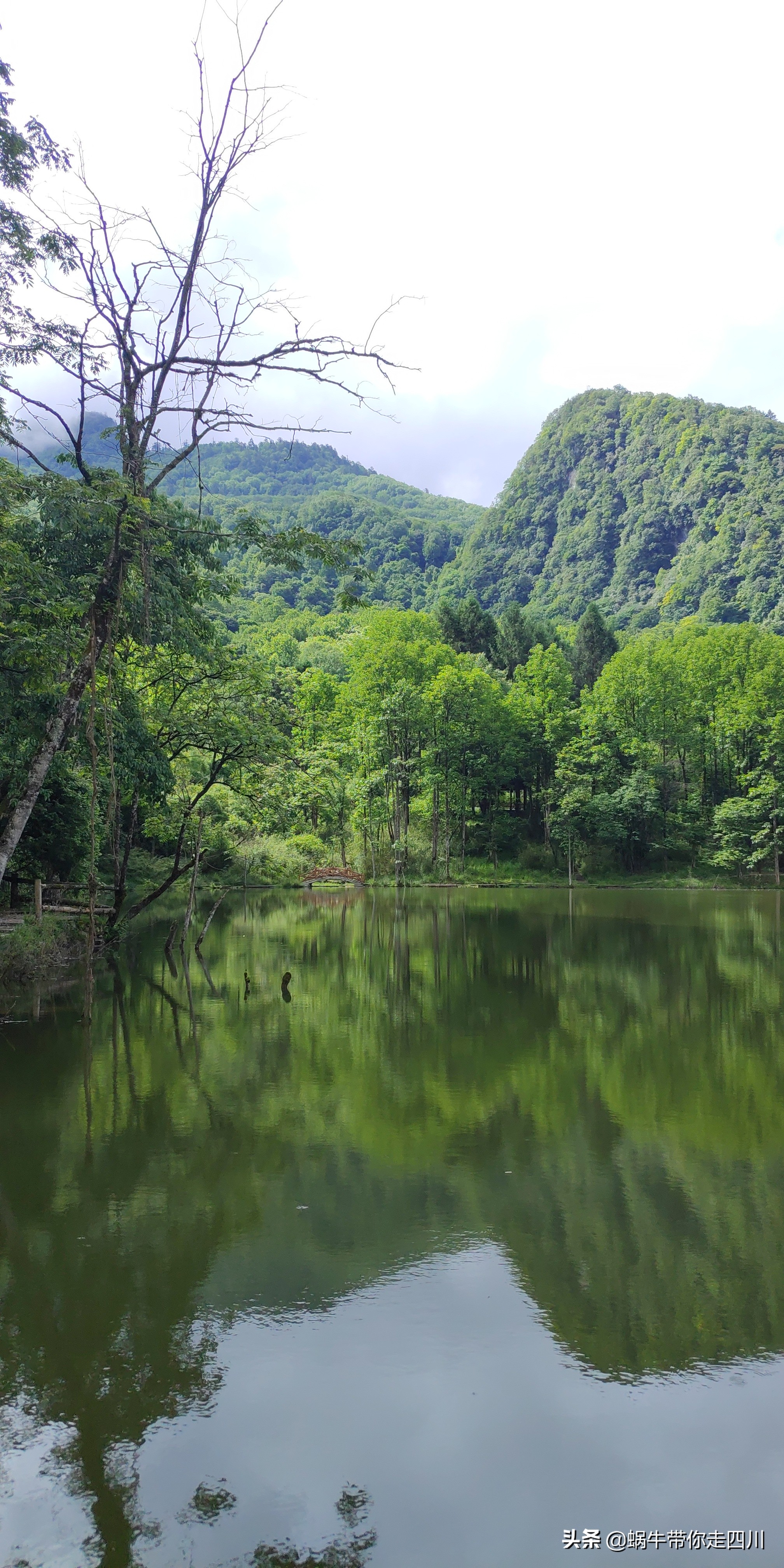一家三口重庆到拉萨旅游攻略预算,一家三口成都去拉萨大概要多少钱