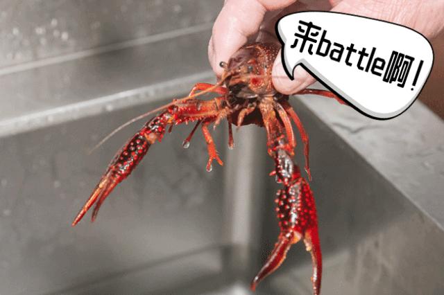 小龙虾季节来了小龙虾8折优惠,火遍全国的小龙虾39折只卖6天