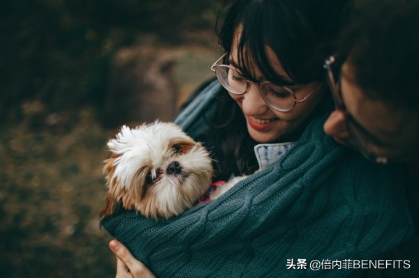 母狗生完小狗却很怕幼犬怎么办,自家狗狗下崽怎么照顾