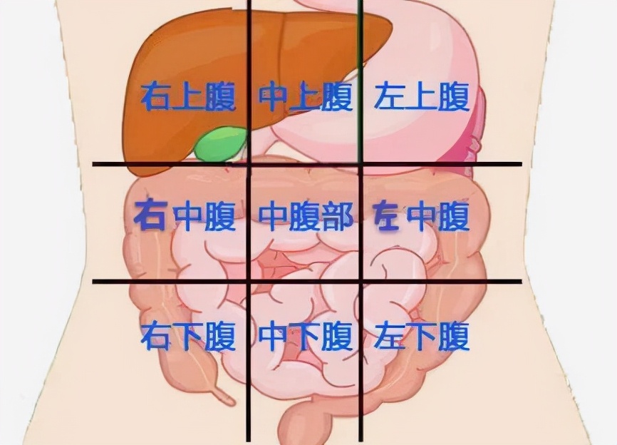 腹痛不明原因,腹痛胃里不舒服