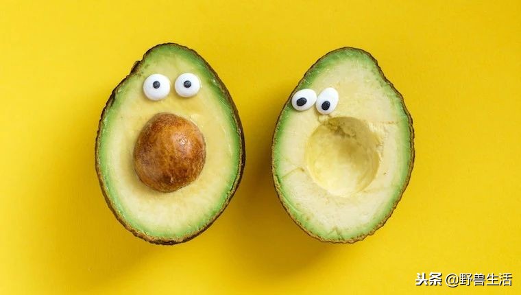 牛油果是真有营养还是虚假宣传,被捧上天却毫无作用的食物
