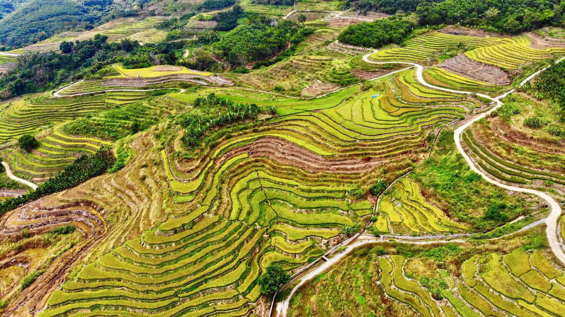 海南自驾游最美线路推荐,海南旅游攻略自驾最佳线路推荐