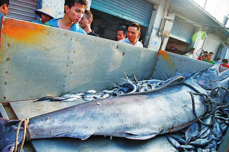 北海海鲜市场猫腻,北海海鲜交易