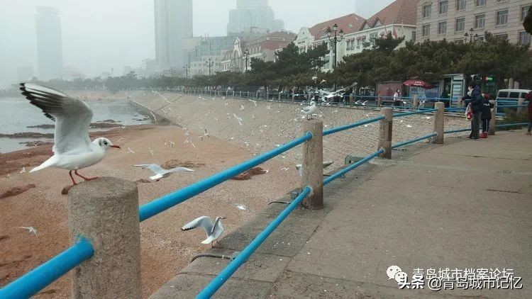 鱼山路,鱼山路冬季