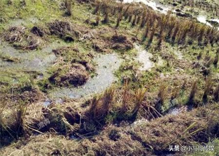 农村土地承包可以贷款吗,个人白户土地能贷多少钱