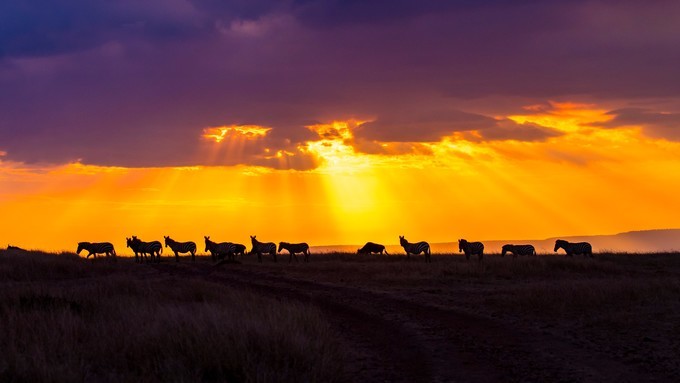 旅行攻略·肯尼亚：跟随《狮子王》震撼你的视觉，哈库拉，玛塔塔