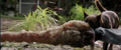 爱与怪物2020完整版电影,爱与怪物视频