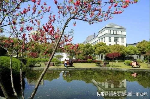 浙江高校解读（八）浙江中医药大学就业前景好吗？