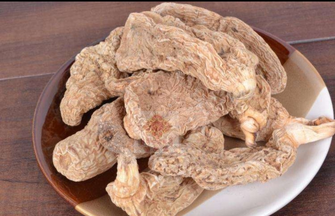 中国最好的野生天麻产地,西藏波密县哪家天麻基地最大