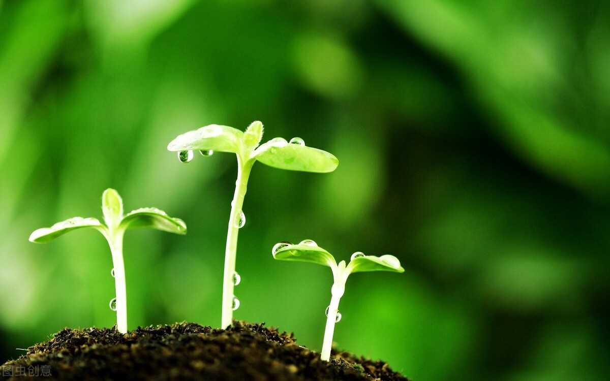 吴曦加盟上海申花多少钱,吴曦第一次加盟申花