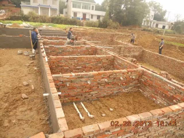 湖南最好的锦鲤养殖基地,湘潭锦鲤养殖