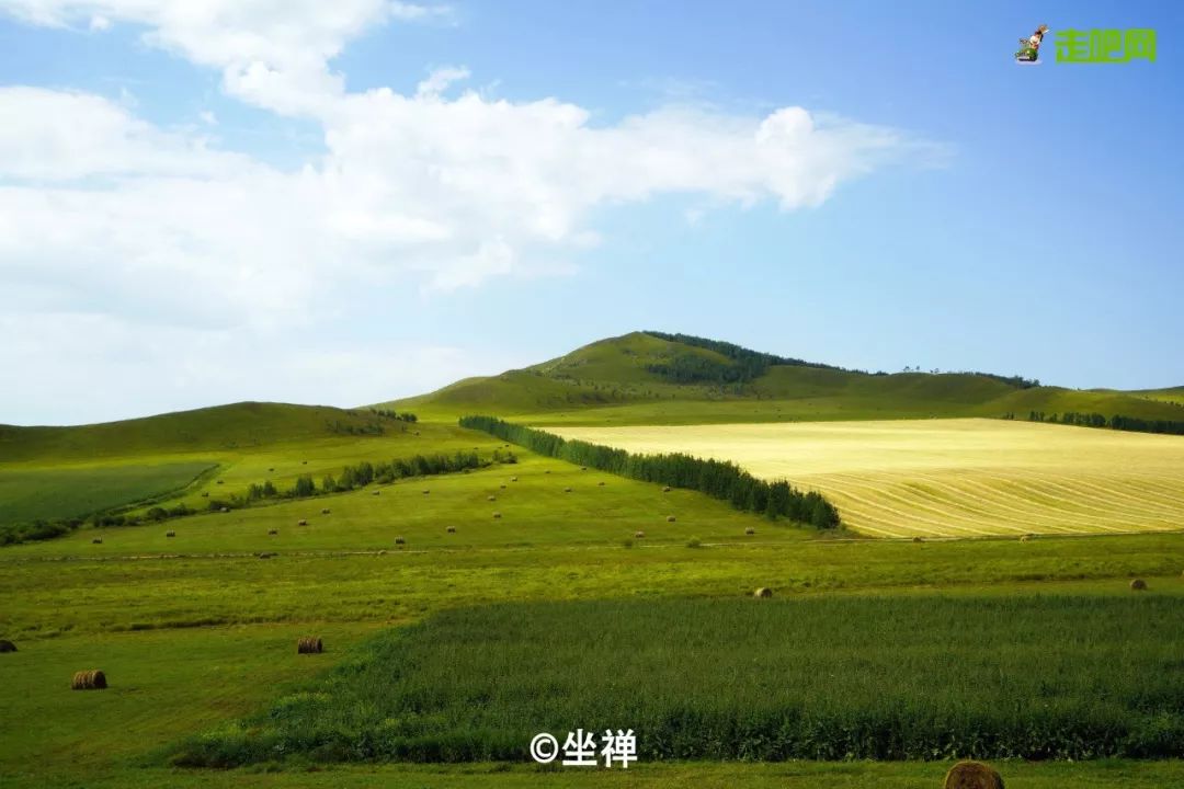 呼伦贝尔山区自然风景,呼伦贝尔沿途风景