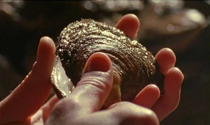 英国戏剧舞台上的女*爱性**恋：被遮盖的主体*欲情**与艰难的戏剧呈现