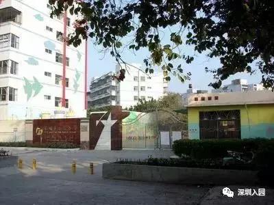 深圳幼儿园1500补贴,深圳2023幼儿园补贴多少钱