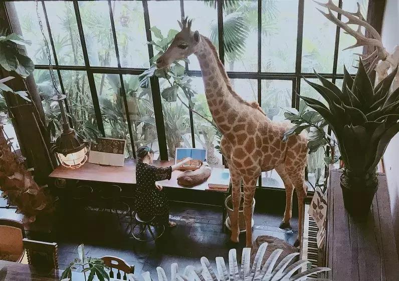 别再去曼谷的大众景点打卡了，换一种方式感受生活