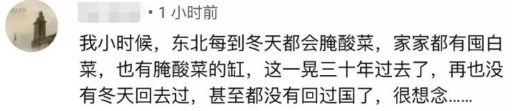 李子柒被韩国网友*攻围**，中国博主联手回击，发布酸菜视频标题显眼