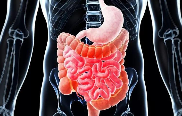 唇炎干裂脱皮怎么治,唇部干裂唇炎图片