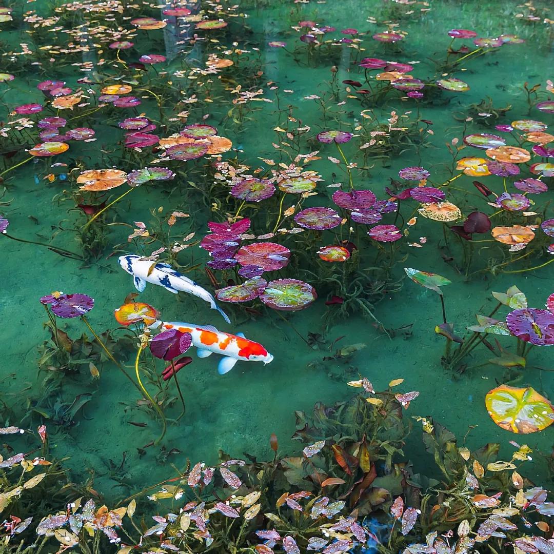 江苏省考准考证打印时间,cpa湖北准考证打印时间