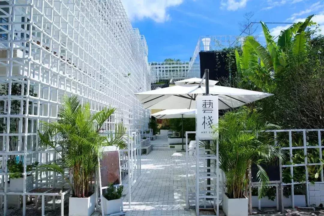 深圳最美海岸线民宿,深圳网红民宿推荐海边