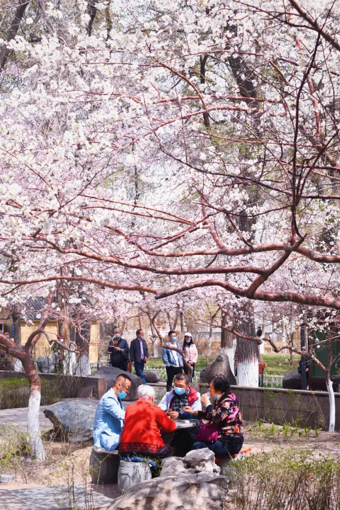 来乌鲁木齐的旅游安排,乌鲁木齐假期玩什么比较好