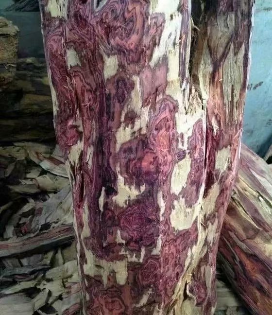 海南黄花梨和小叶紫檀金丝楠木,缅甸花梨和海南黄花梨的图片对比